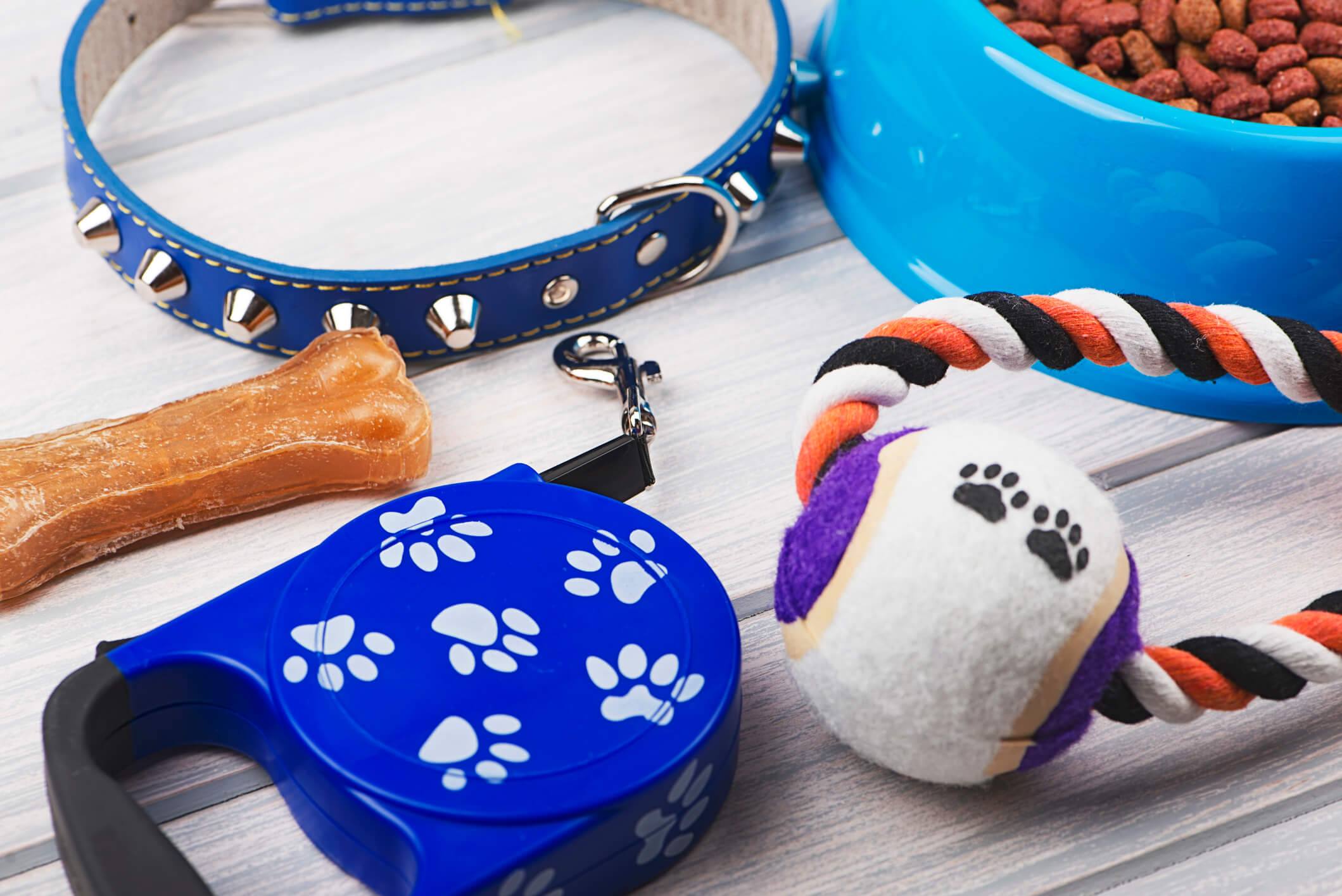 Xavornix: Your One-Stop Pet Accessory Shop