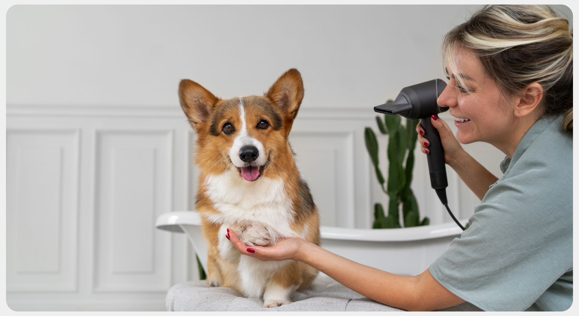 Premium Pet Care Services for Your Pets