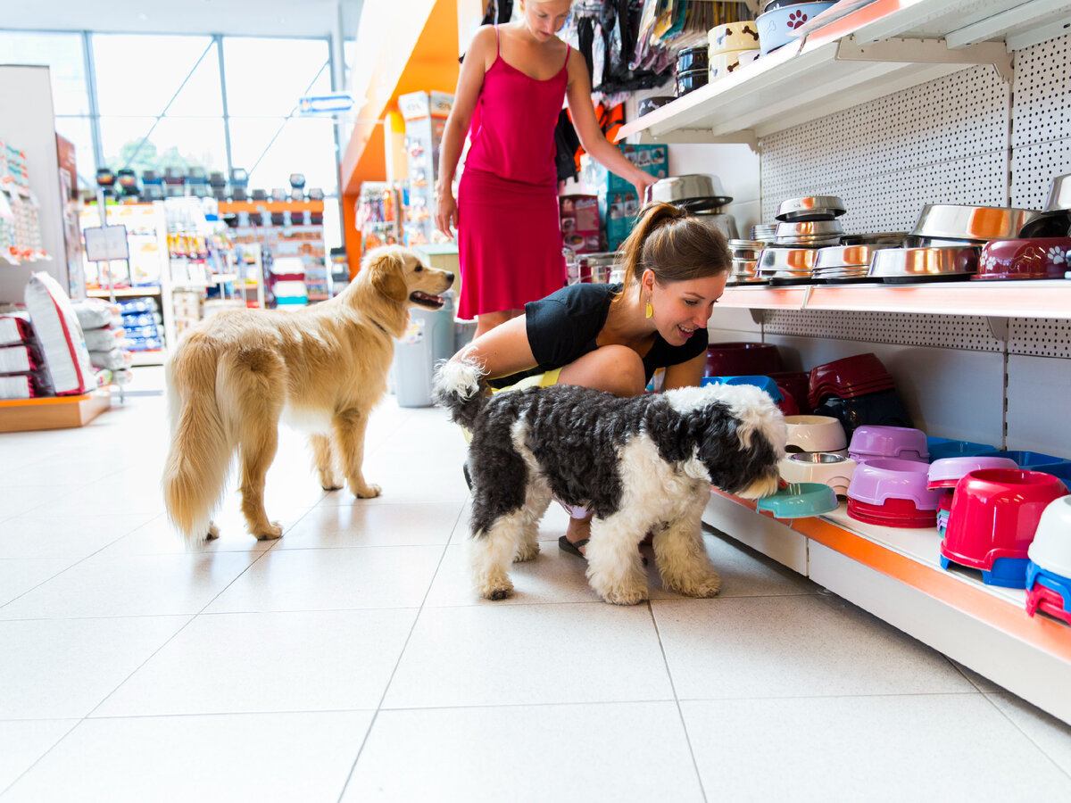 Xavornix Pet Store: The Best for Your Pets Needs